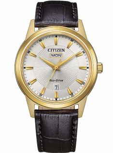 Citizen Eco-Drive meeste käekell kuldse värviga terasest | Päikesekiire sihverplaat päevaga/kuupäevaga | AW0102-13A