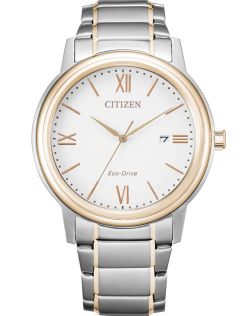 Citizen elegantne meeste käekell Eco-Drive'iga ja kahevärvilise terasrihmaga | AW1676-86A