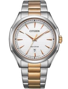 Citizen klassikaline meeste käekell Eco-Drive'iga ja kahevärvilise terasrihmaga | AW1756-89A