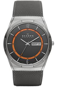 Skagen Aktiv Titanium Mesh SKW6007